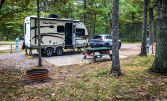 Camping near Robinson Campground: Torch Grove Campground, Rapid City, Michigan