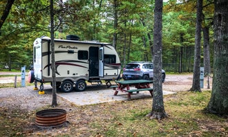 Camping near Honcho Rest Campground: Torch Grove Campground, Rapid City, Michigan