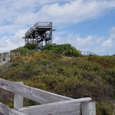 Review photo of Pine Grove Campground — Jonathan Dickinson State Park by Dale G., October 1, 2020