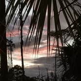 Review photo of Pine Grove Campground — Jonathan Dickinson State Park by Dale G., October 1, 2020