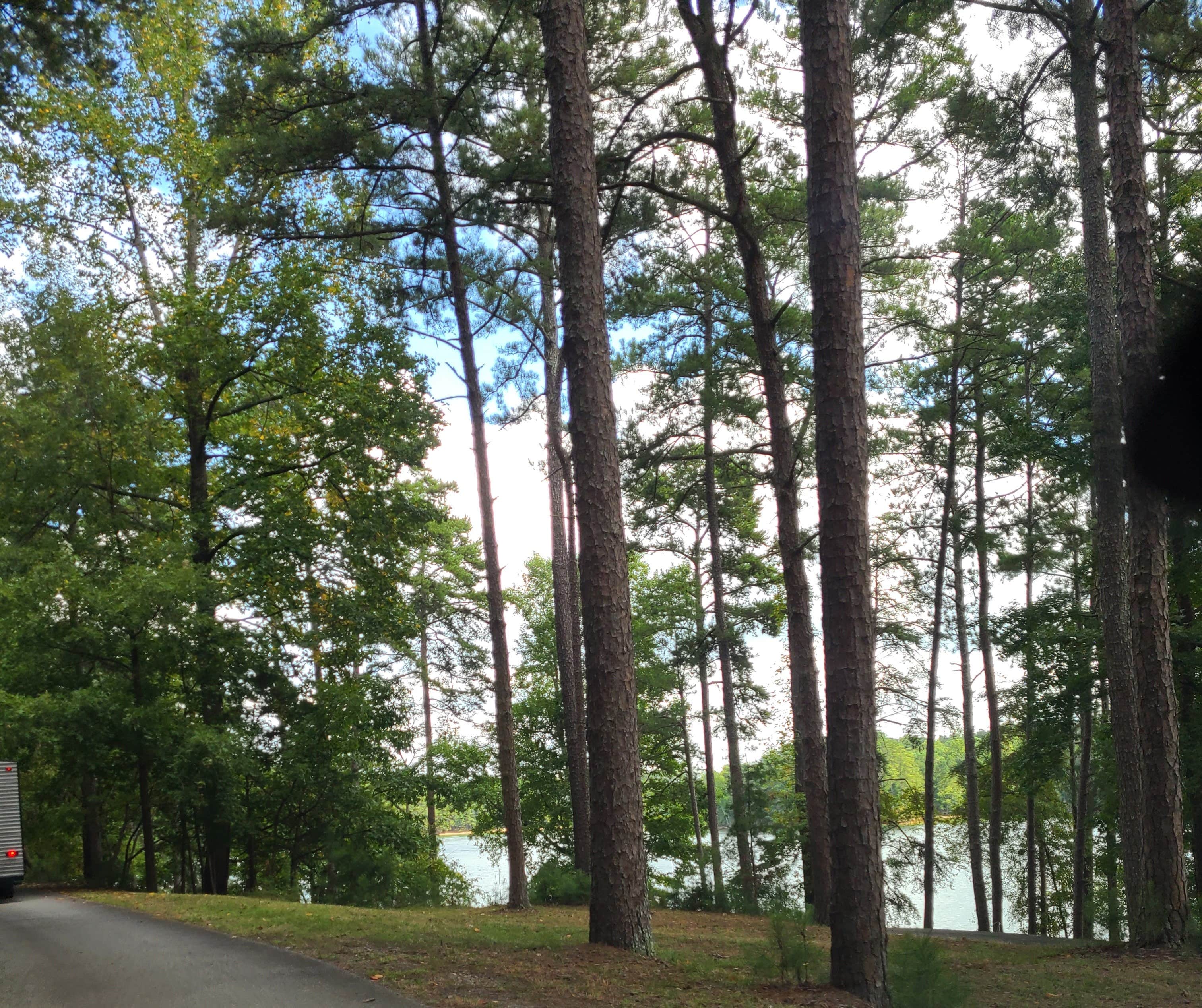 Camper submitted image from Lake Lanier Islands Resort Shoal Creek Campground - 3