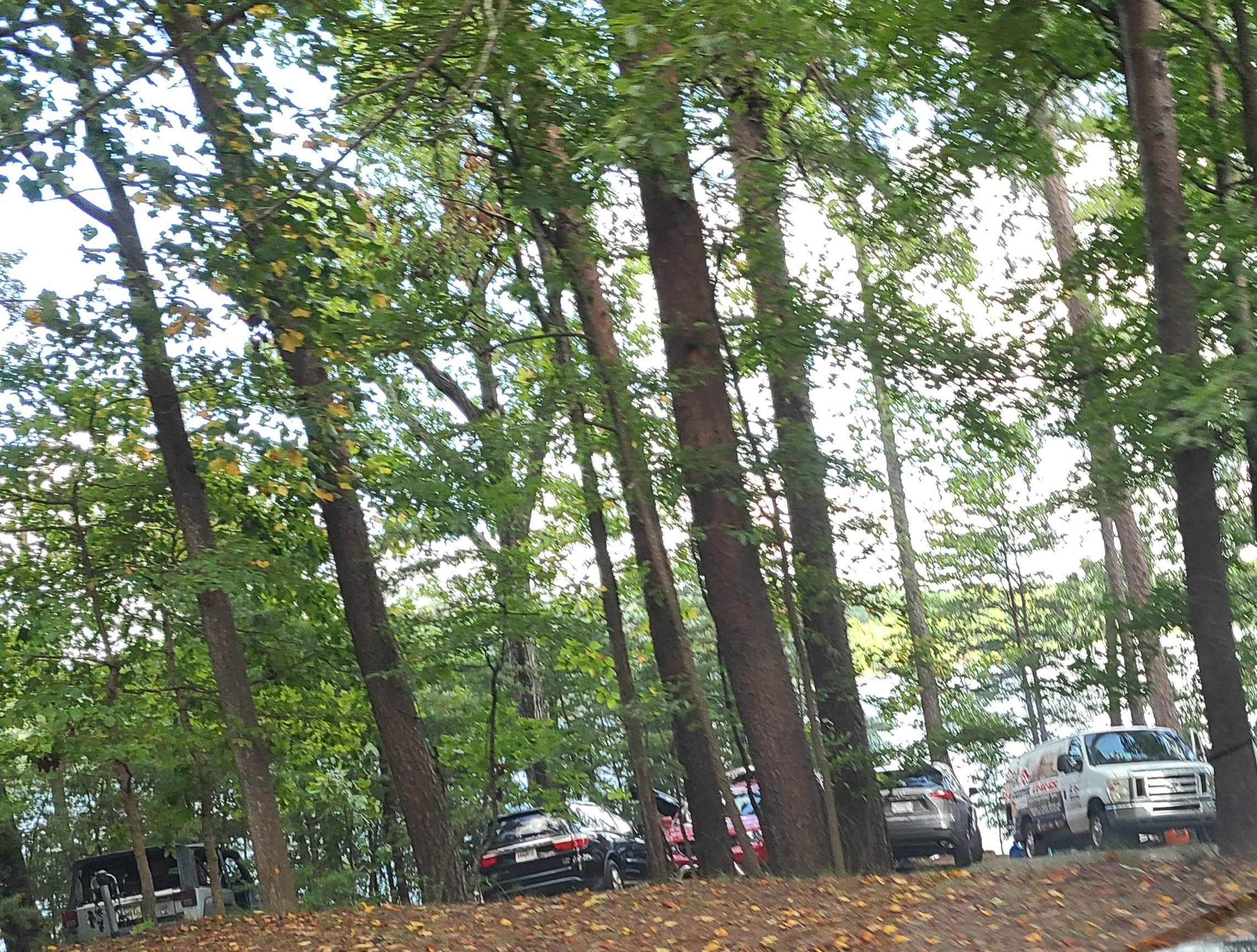 Camper submitted image from Lake Lanier Islands Resort Shoal Creek Campground - 5