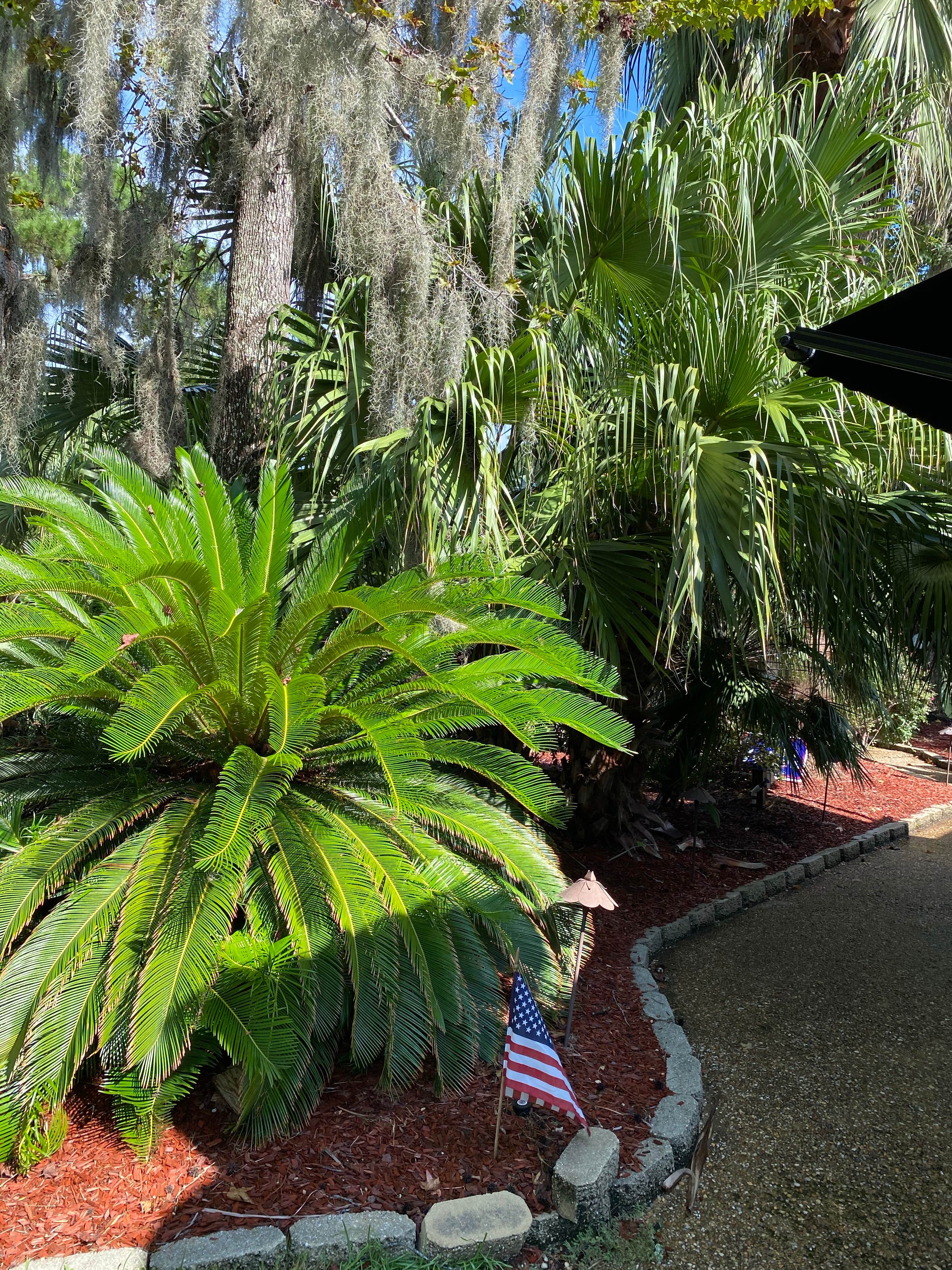 Camper-submitted photo at Hilton Head Island Motorcoach Resort near Bluffton, SC