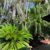 Review photo of Hilton Head Island Motorcoach Resort by Susan & Kevin W., October 1, 2020