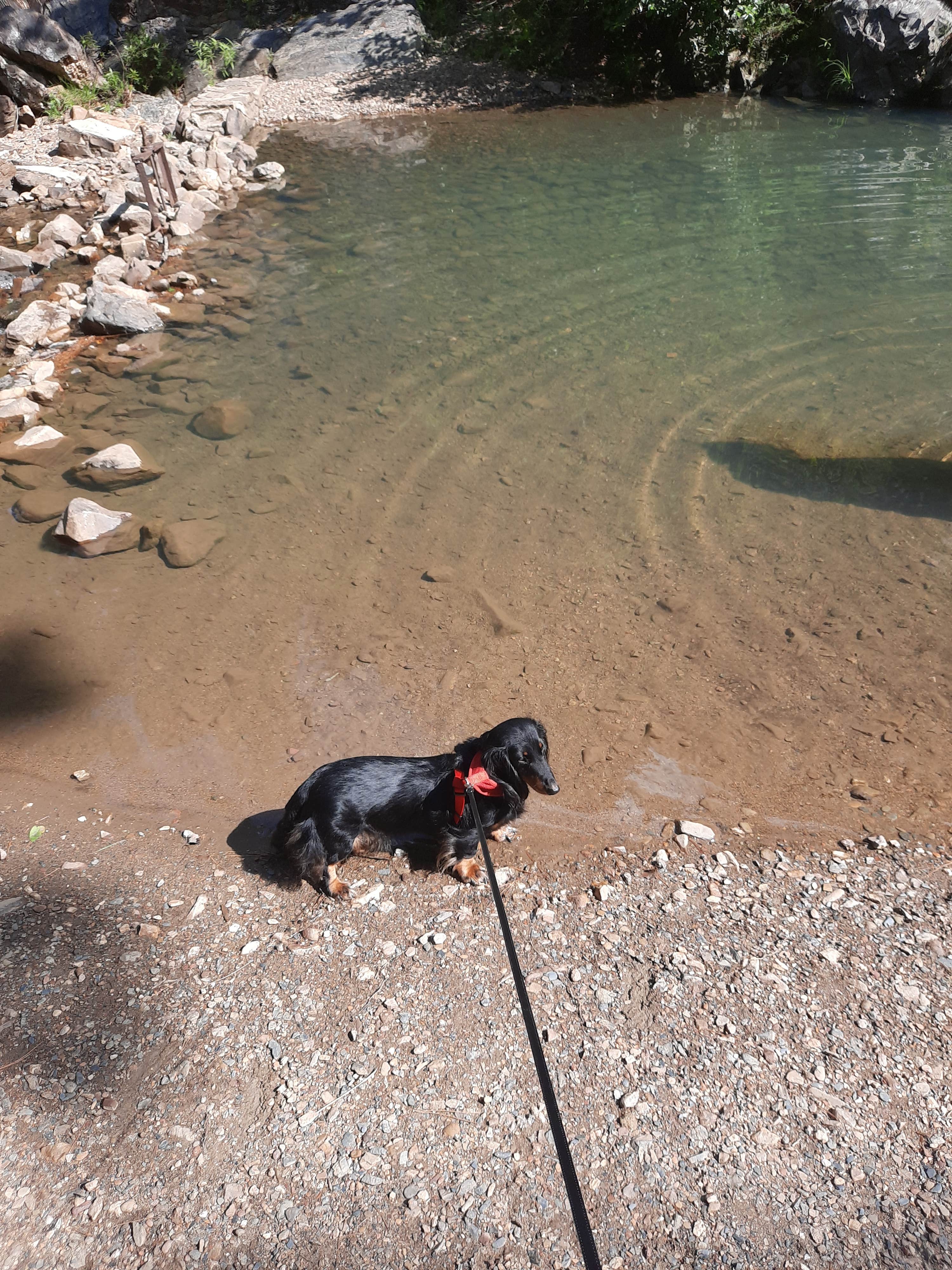 Camper-submitted photo at Iron Springs near Conway, AR