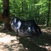 Review photo of Red Oak Campground — James River State Park by Katie T., May 19, 2018