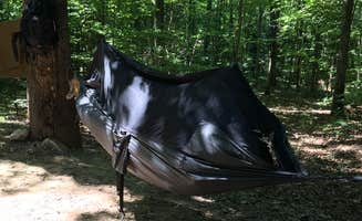Katie T.'s photo at Red Oak Campground — James River State Park near Appomattox, VA