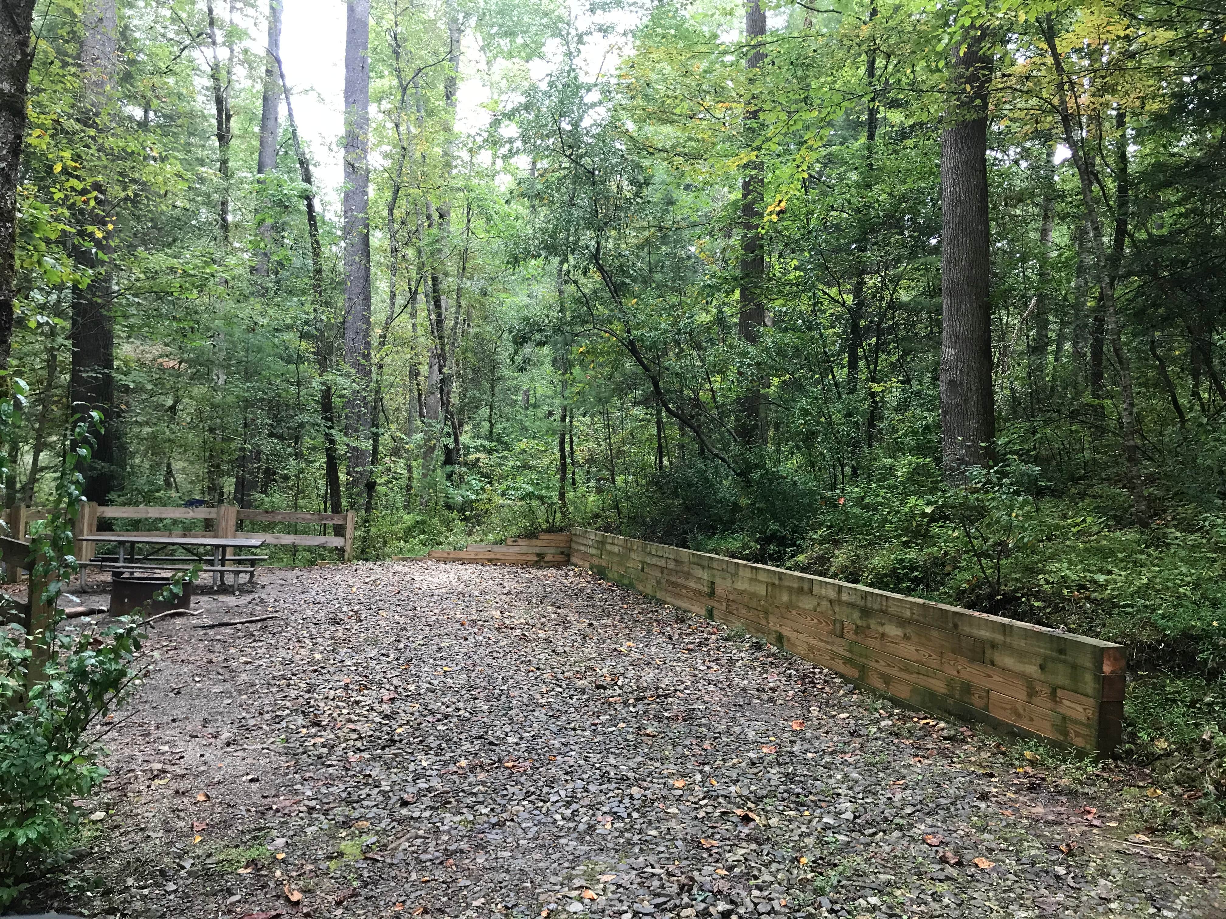 Camper-submitted photo at Cooper Creek near Culberson, NC