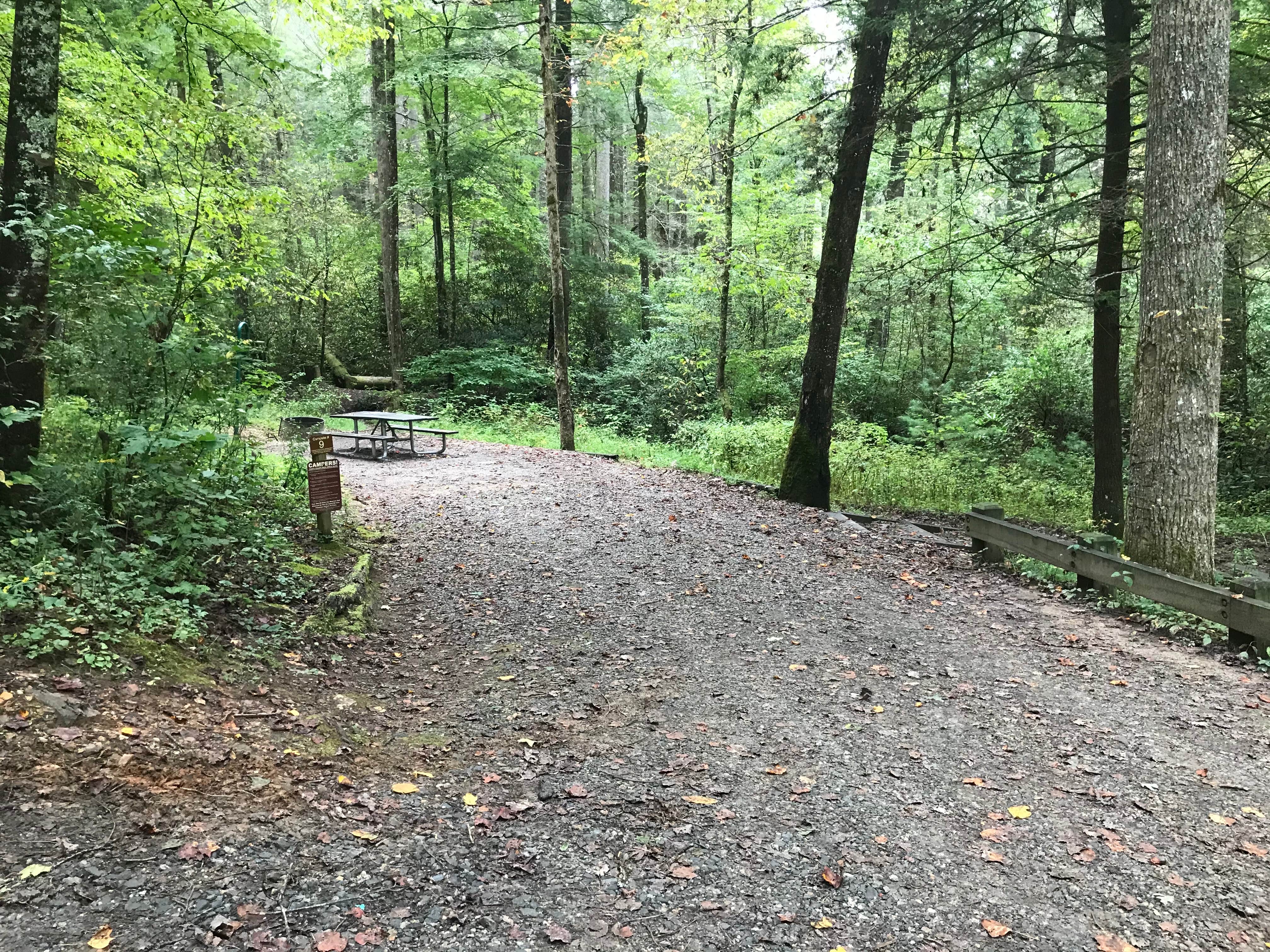 Camper submitted image from Cooper Creek - 4