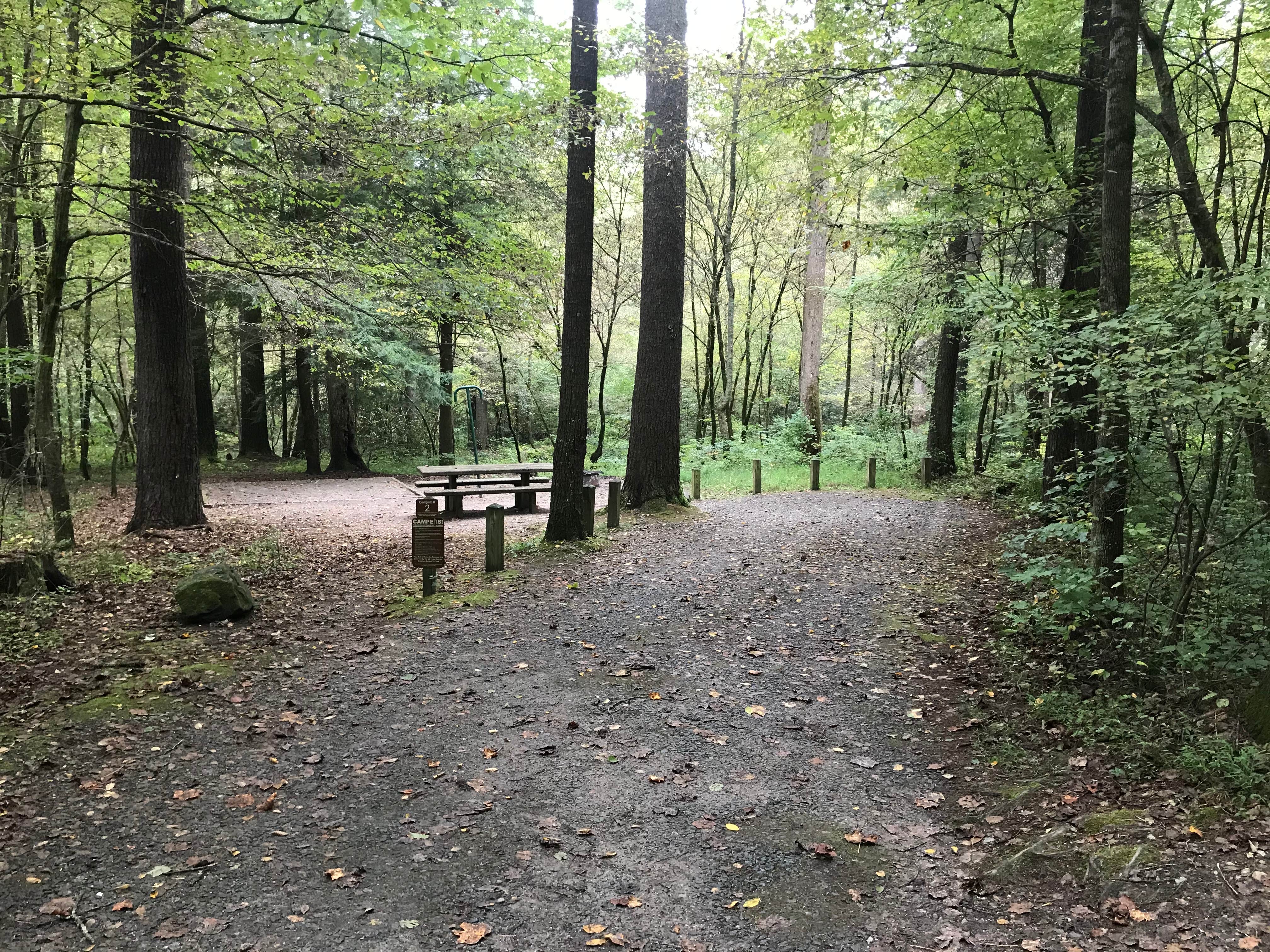Camper-submitted photo at Cooper Creek near Culberson, NC