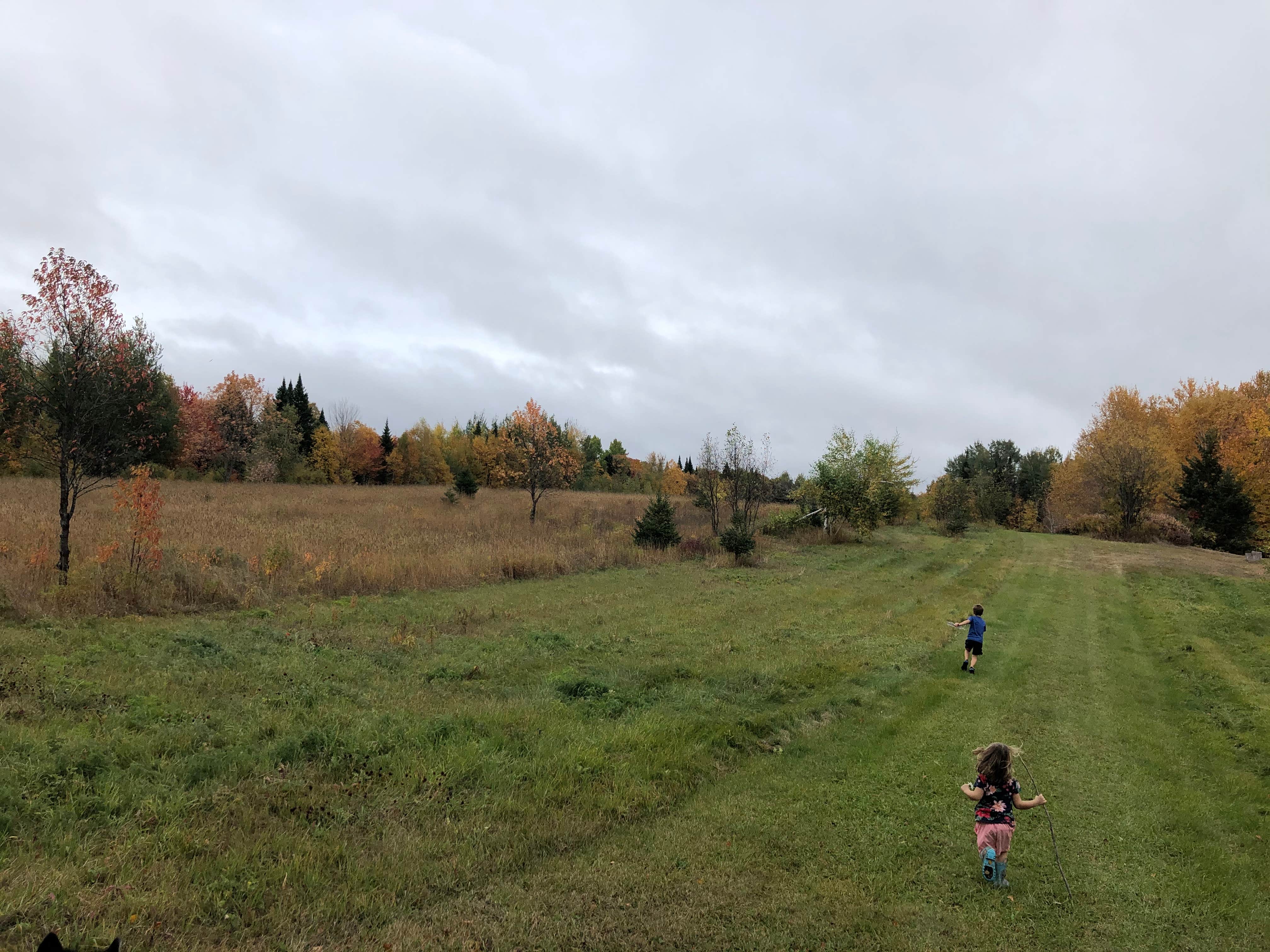 Camper submitted image from Houlton/Canandian Border KOA - 4