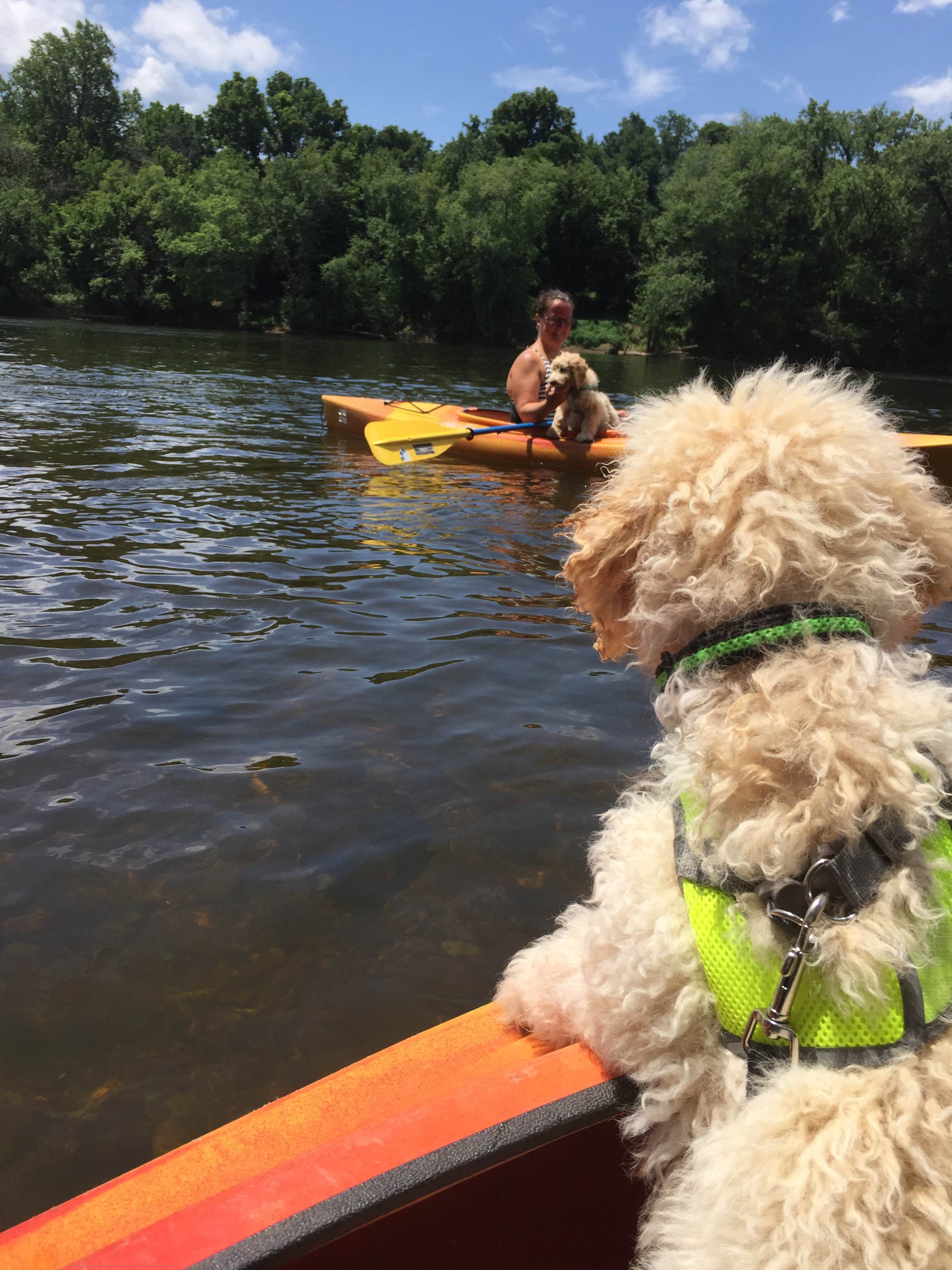 Katie T.'s photo of camping with pets at Red Oak Campground — James River State Park near Hampden-Sydney, VA