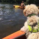 Review photo of Red Oak Campground — James River State Park by Katie T., May 19, 2018