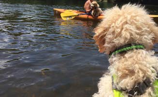 Katie T.'s photo of camping with pets at Red Oak Campground — James River State Park near Montebello, VA
