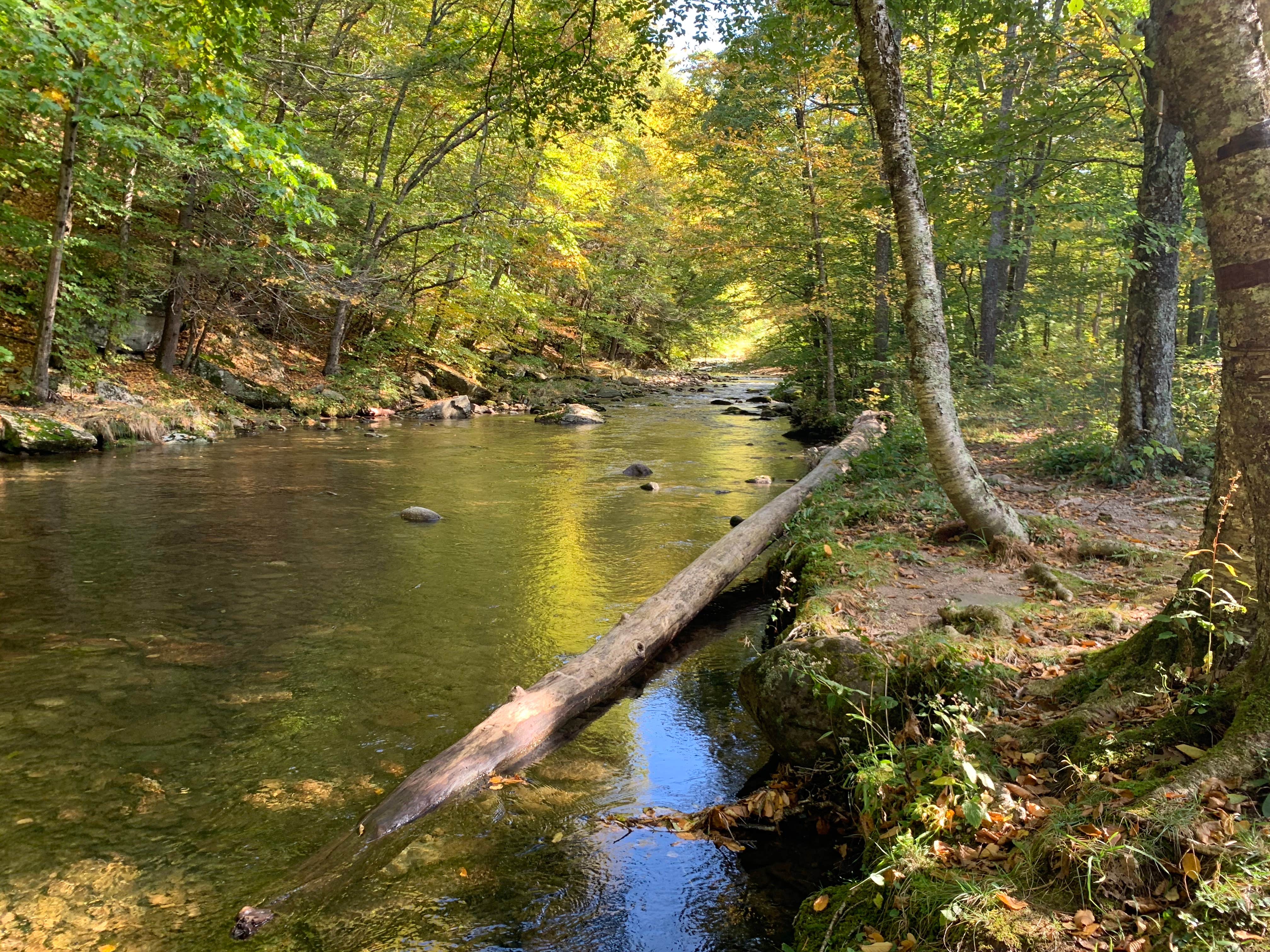 Nature