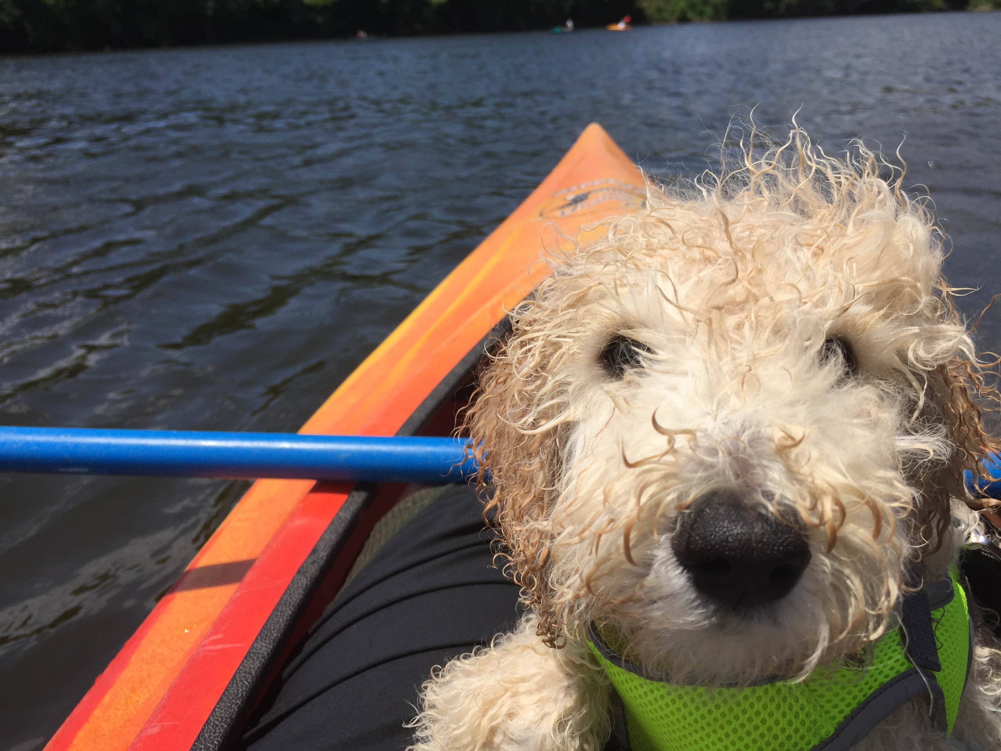 Camper-submitted photo at Red Oak Campground — James River State Park near Vesuvius, VA