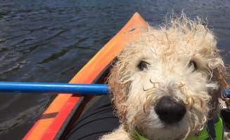 Katie T.'s photo of camping with pets at Red Oak Campground — James River State Park near Lynchburg, VA