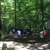 Review photo of Red Oak Campground — James River State Park by Katie T., May 19, 2018