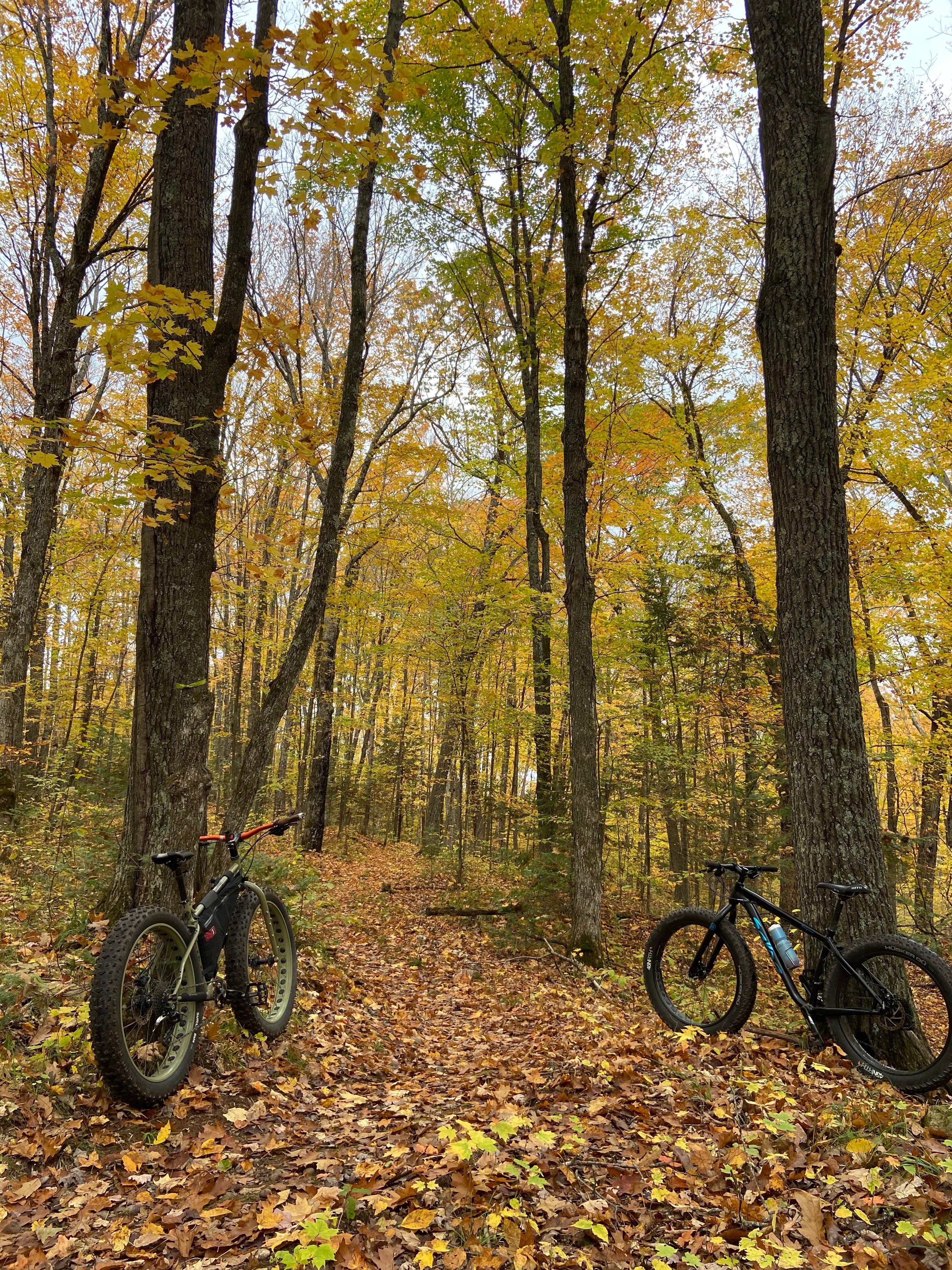 Camper-submitted photo at Roam Base Camp near Stone Lake, WI