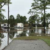 Review photo of Fort Pickens Campground — Gulf Islands National Seashore by Freida B., May 19, 2018