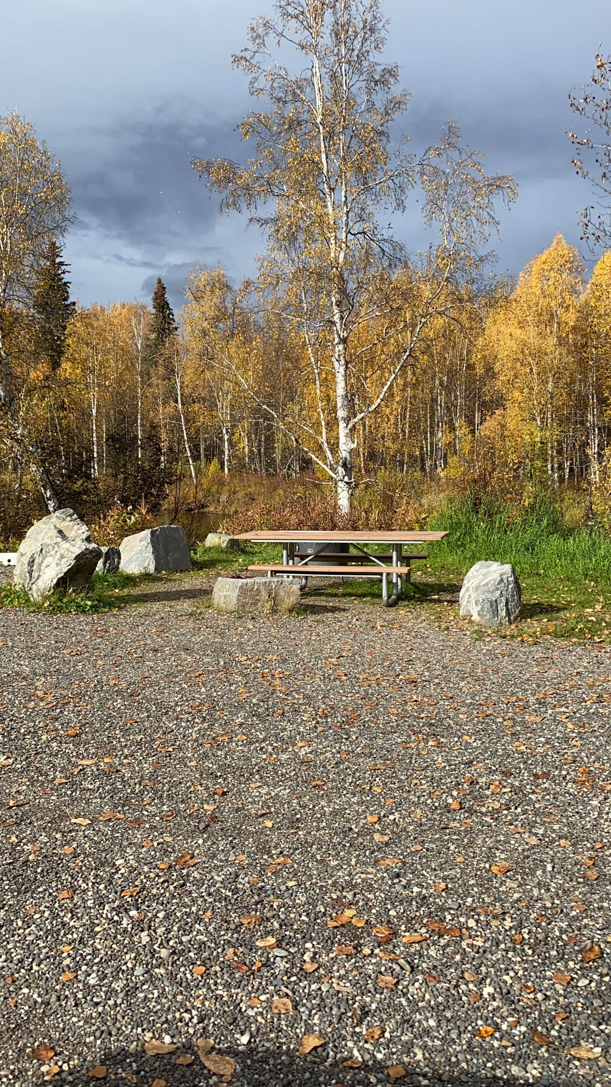 Escape To The Wild: Lower Chatanika River State Recreation Area, Alaska