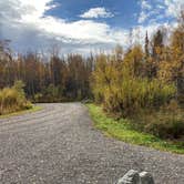 Review photo of Lower Chatanika River State Recreation Area by Tanya B., October 1, 2020