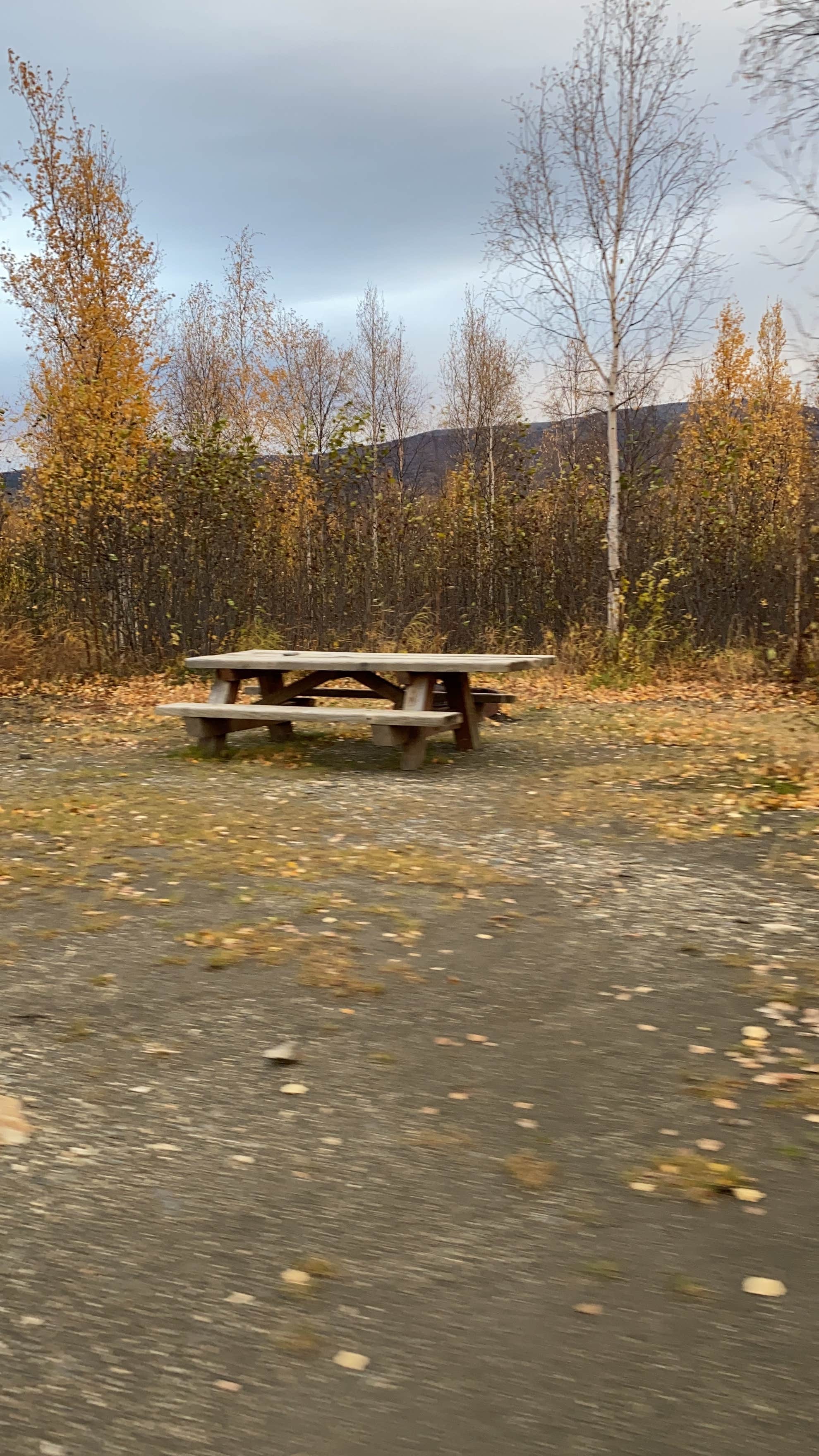 Camper submitted image from Arctic Circle Campground — Dalton Highway - 3