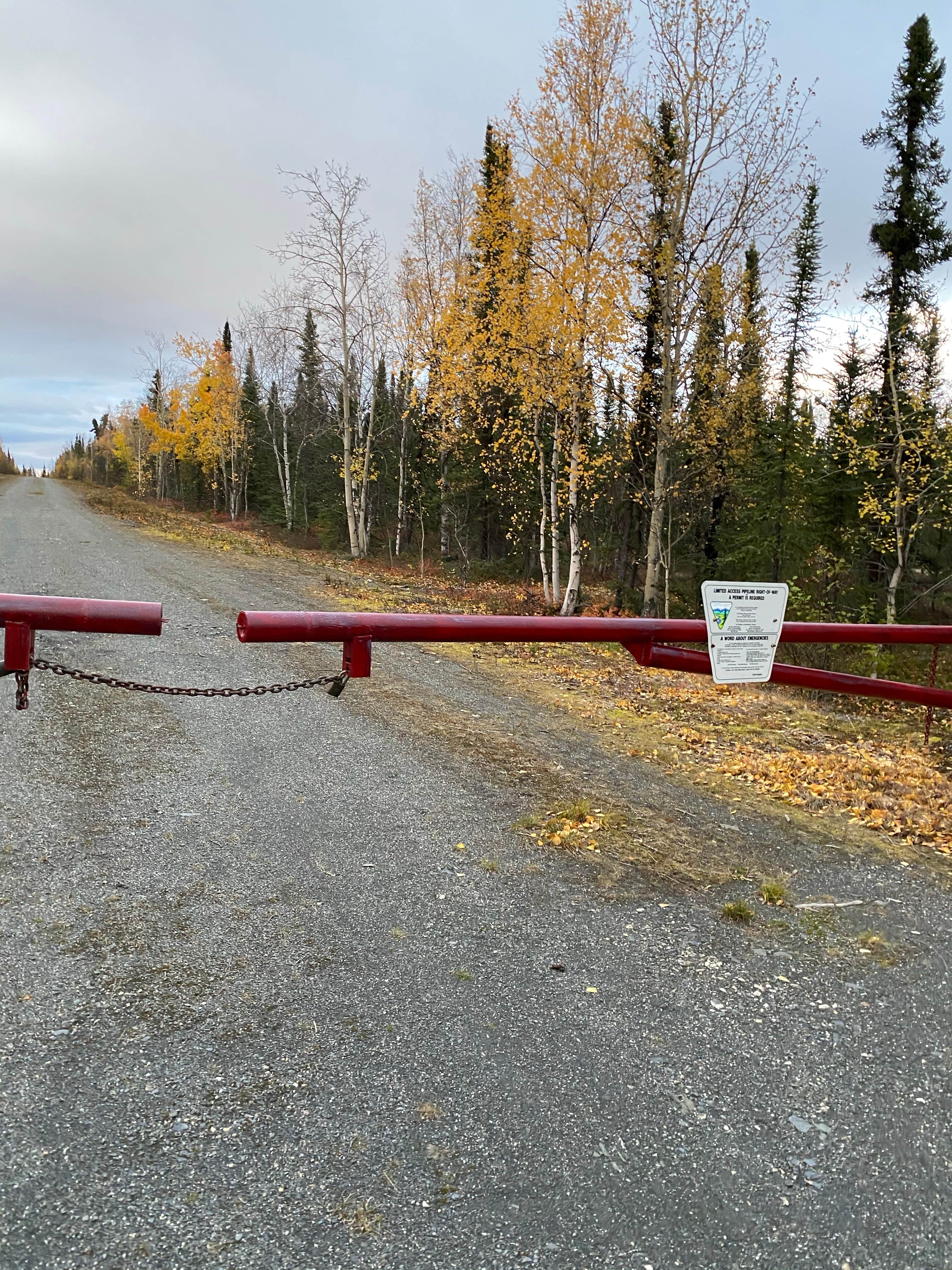 Camper submitted image from Arctic Circle Campground — Dalton Highway - 3