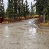 Review photo of Brushkana Creek Campground by Tanya B., October 1, 2020