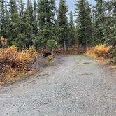 Review photo of Brushkana Creek Campground by Tanya B., October 1, 2020