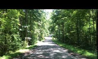 Camping near Equestrian Campground — Ferne Clyffe State Park: Buck Ridge  -  Lake Of Egypt, Goreville, Illinois