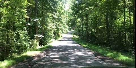 Camper submitted image from Buck Ridge - Lake Of Egypt