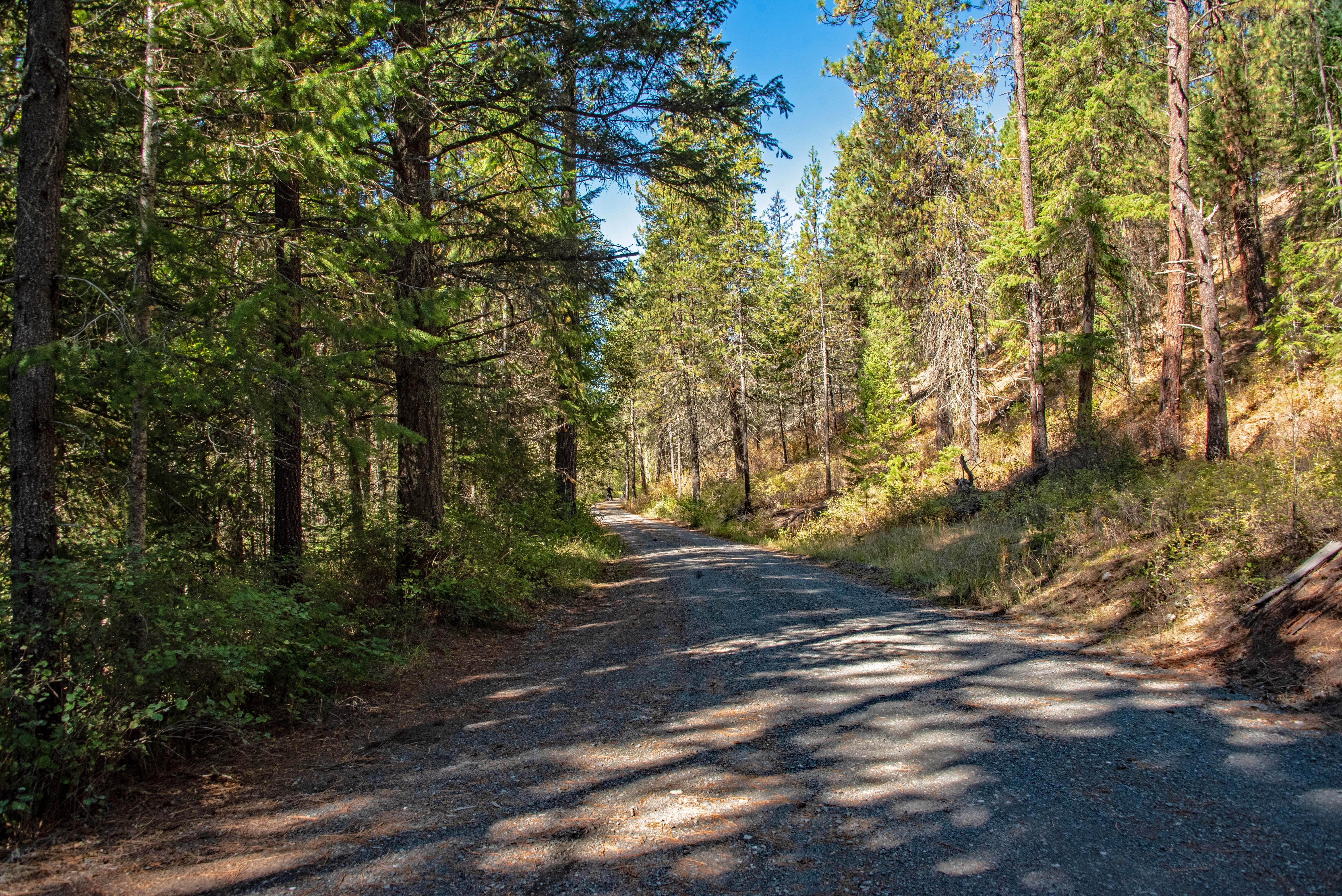 Camper submitted image from Little Pend Orielle Campground - 5