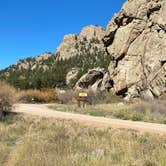 Review photo of Spillway Campground by Rebeca H., October 2, 2020