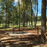 Review photo of Sycamore Springs Park by Ruth K., May 19, 2018