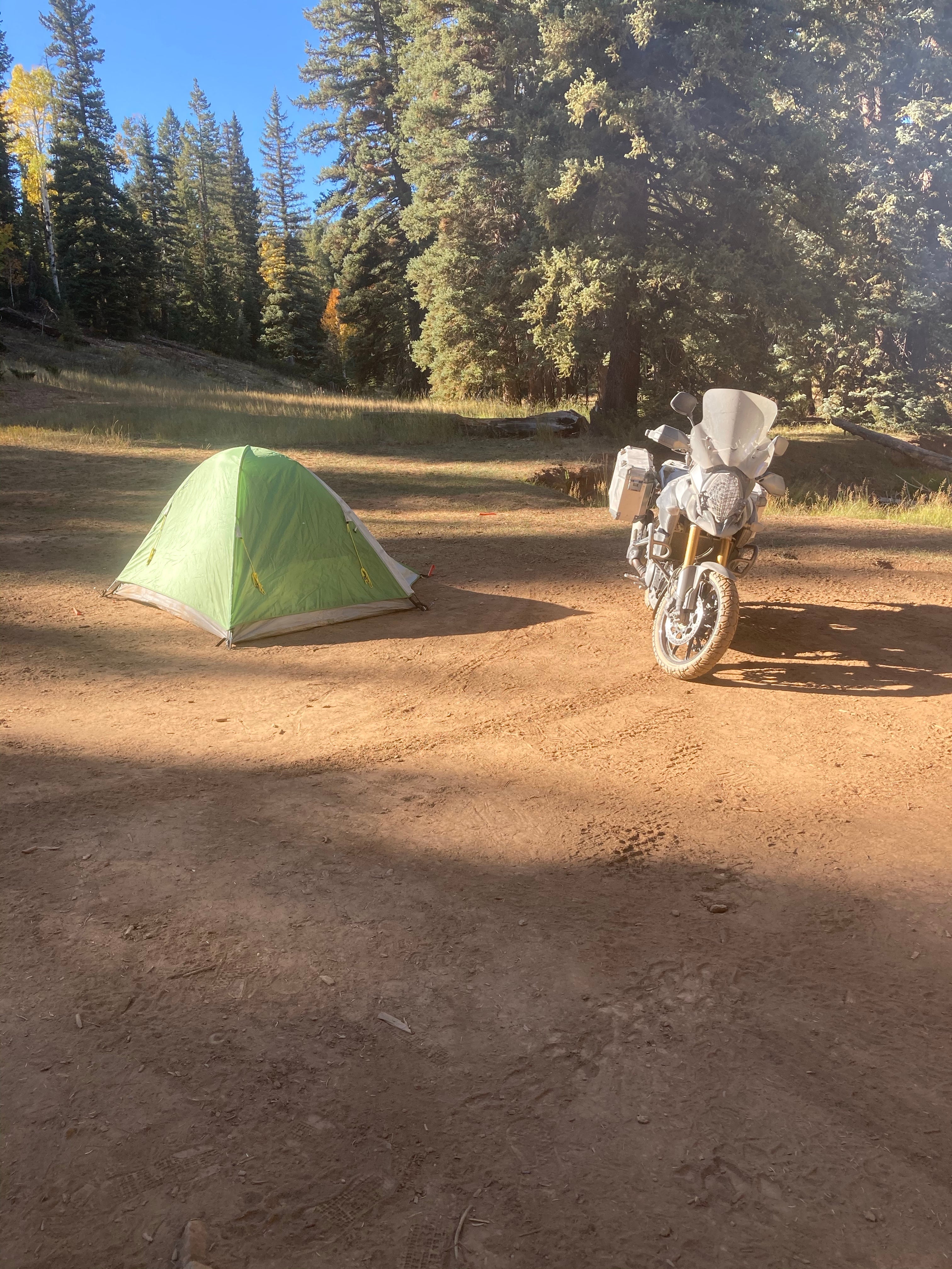 Camper submitted image from Lost Pacheco Dispersed Campground - 4
