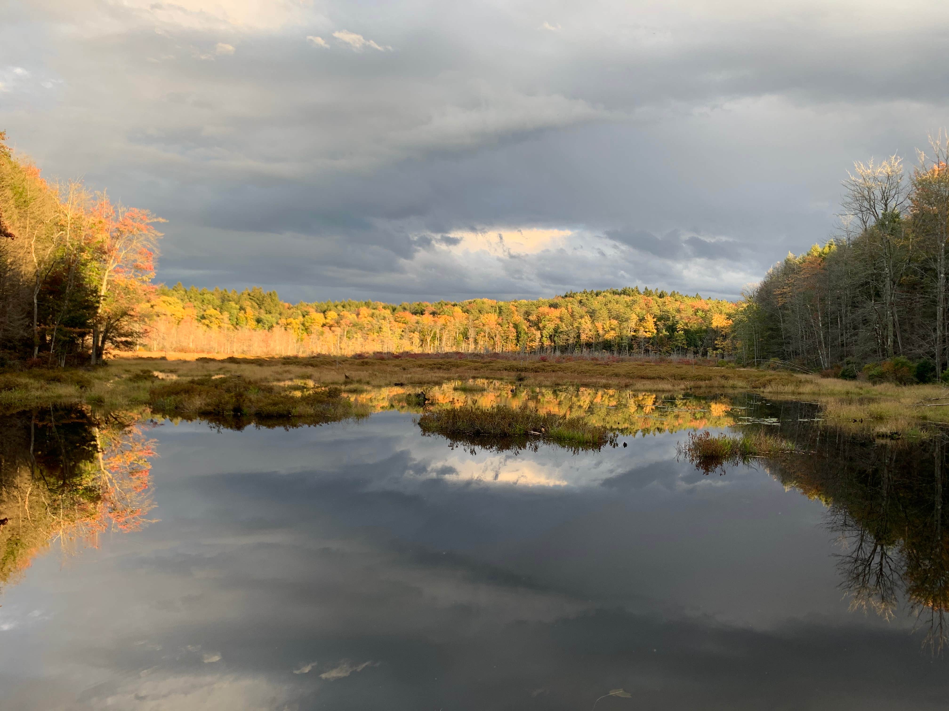 Camper-submitted photo at Charles E. Baker State Forest near Waterville, NY