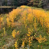 Review photo of Charles E. Baker State Forest by Cameron , October 2, 2020