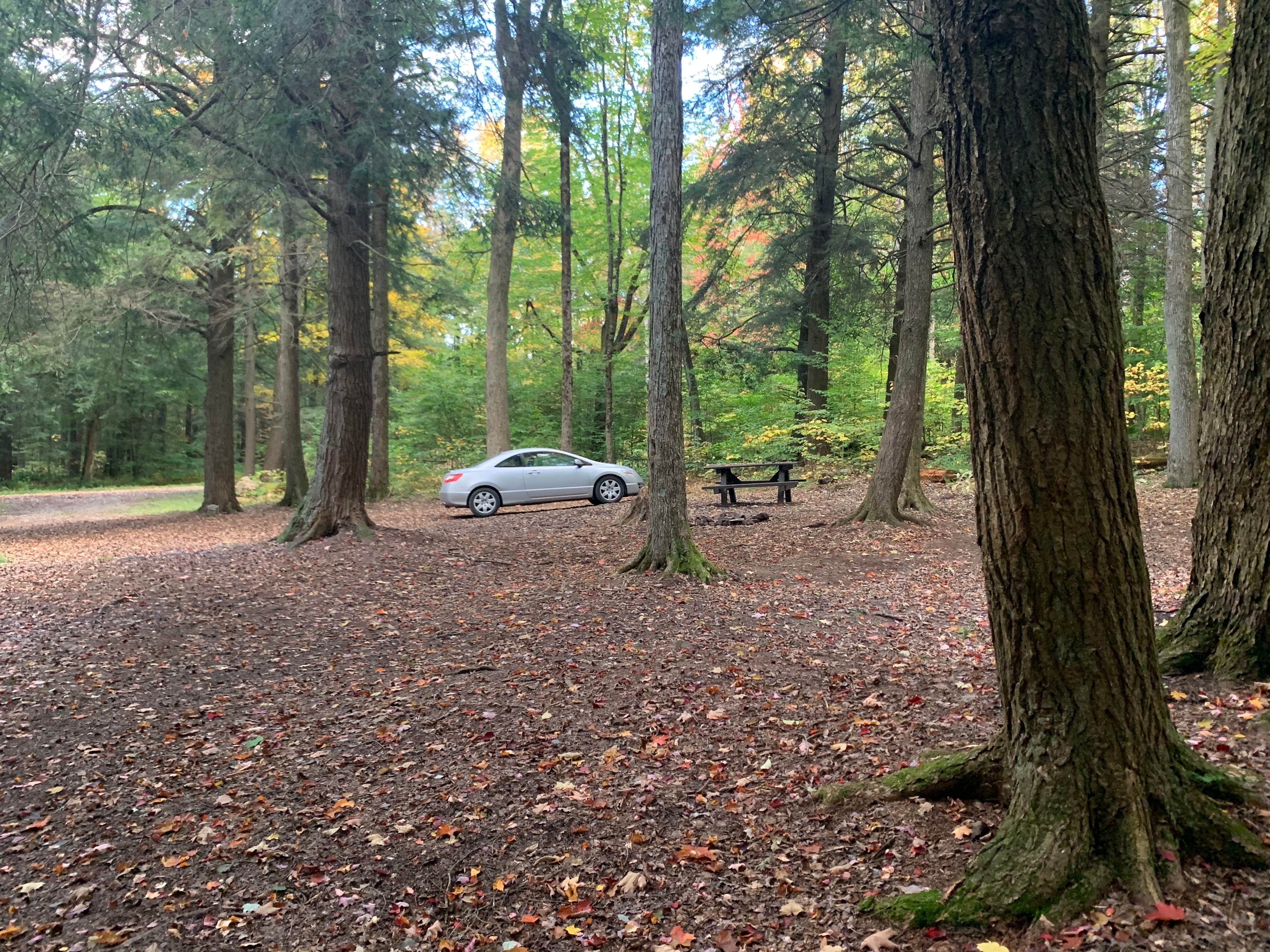 Camper-submitted photo at Charles E. Baker State Forest near Waterville, NY