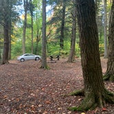Review photo of Charles E. Baker State Forest by Cameron , October 2, 2020