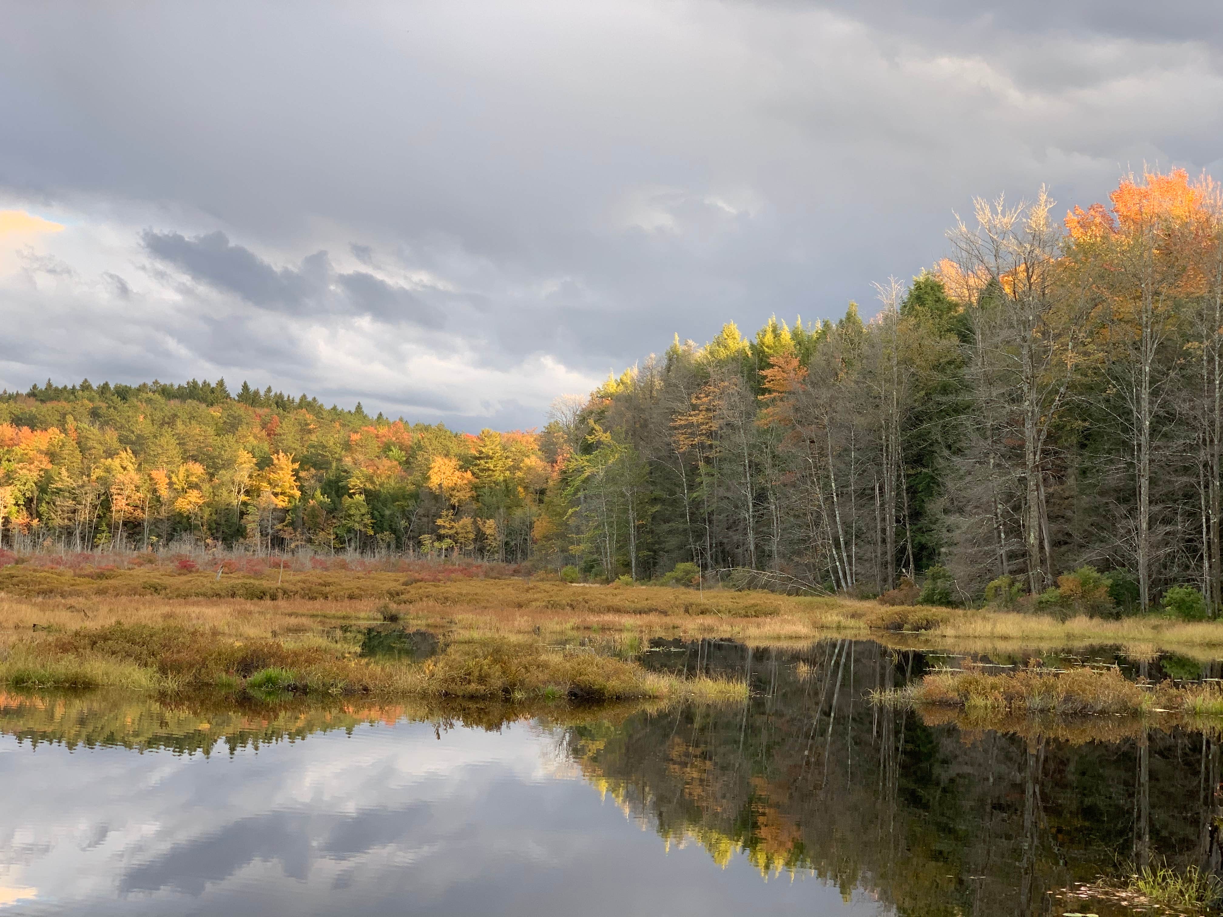Camper-submitted photo at Charles E. Baker State Forest near Waterville, NY