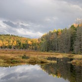 Review photo of Charles E. Baker State Forest by Cameron , October 2, 2020