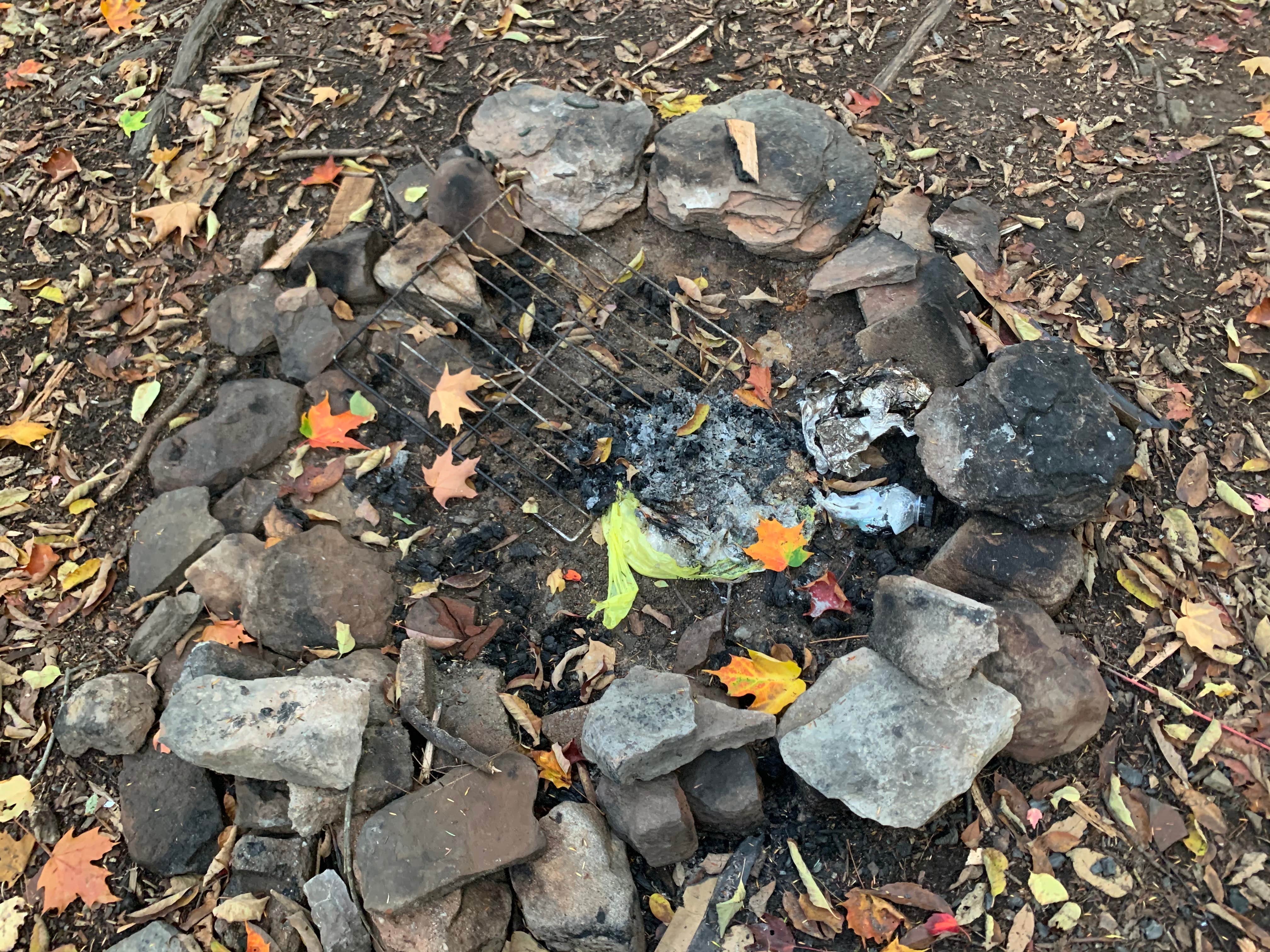 Camper-submitted photo at Charles E. Baker State Forest near Waterville, NY