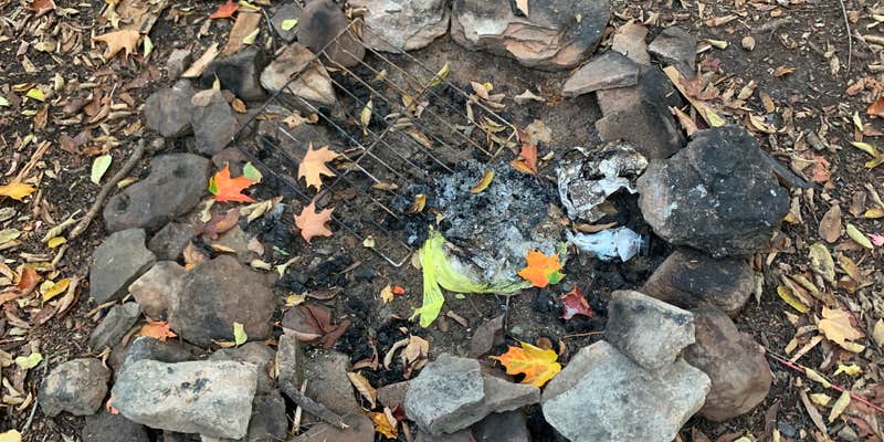 Camper submitted image from Charles E. Baker State Forest