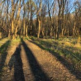 Review photo of Powhatan State Park Campground by Katie M., October 2, 2020