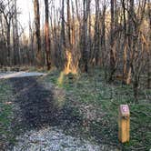 Review photo of Powhatan State Park Campground by Katie M., October 2, 2020