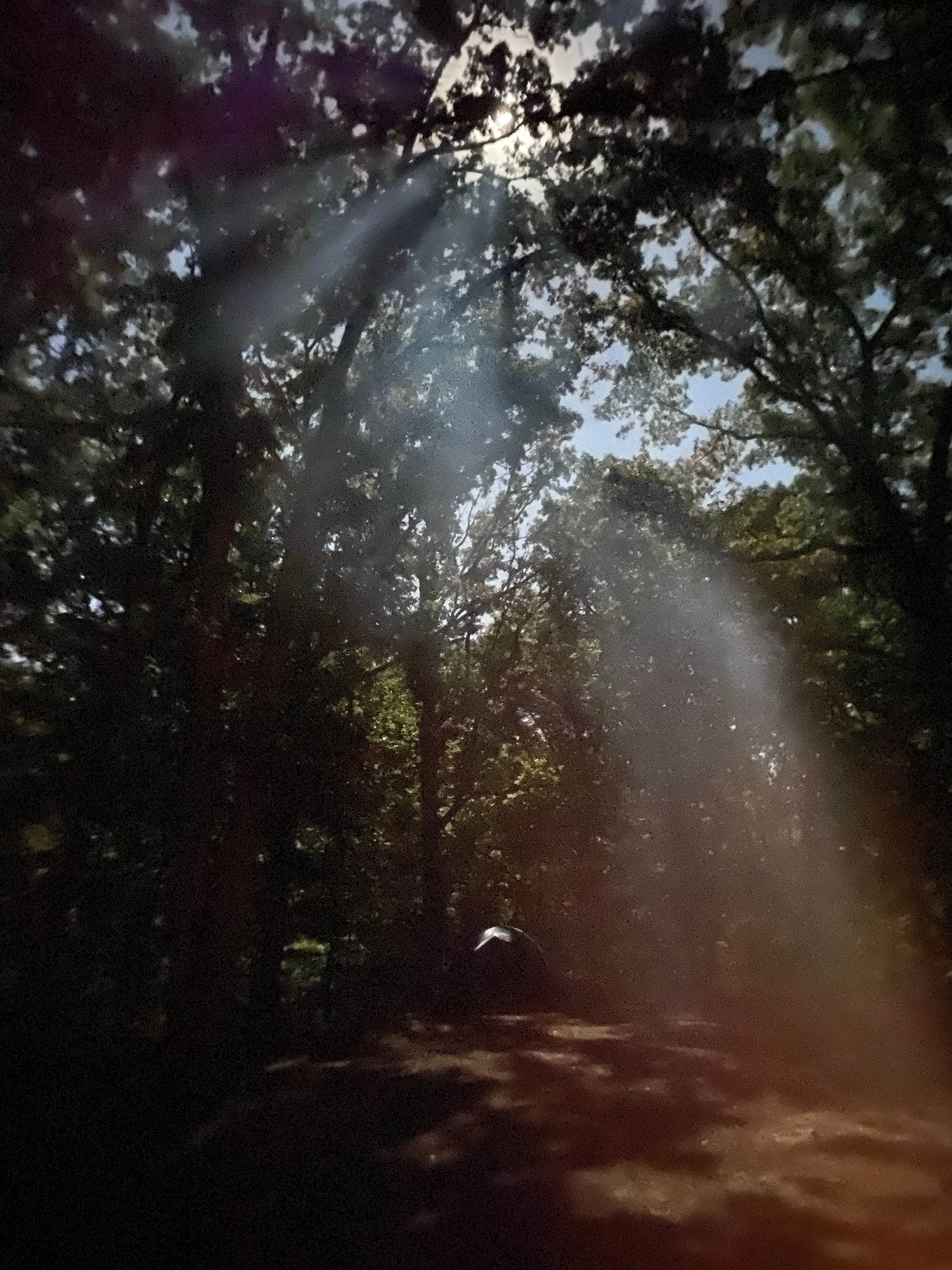 Camper-submitted photo at Wolf Creek State Park Campground near Neoga, IL