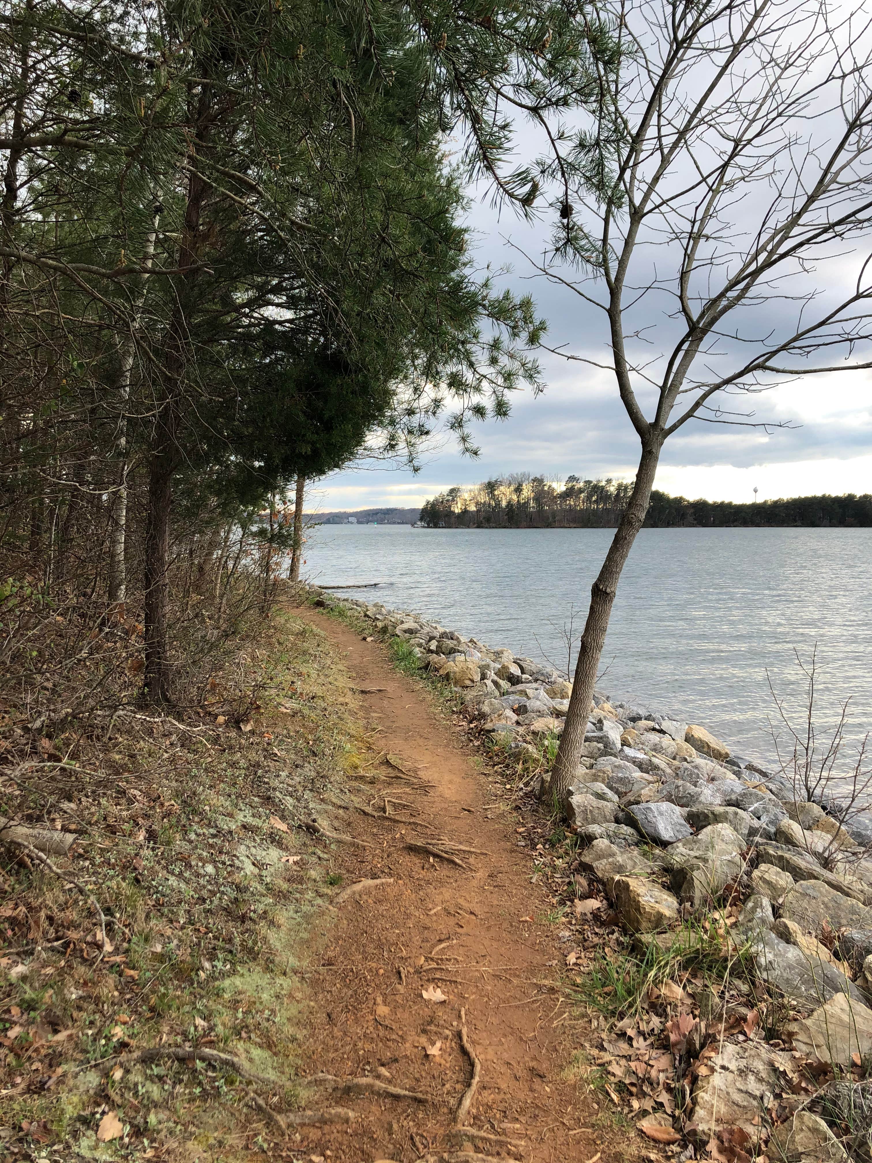 Camper-submitted photo at Smith Mountain Lake State Park Campground near Thaxton, VA
