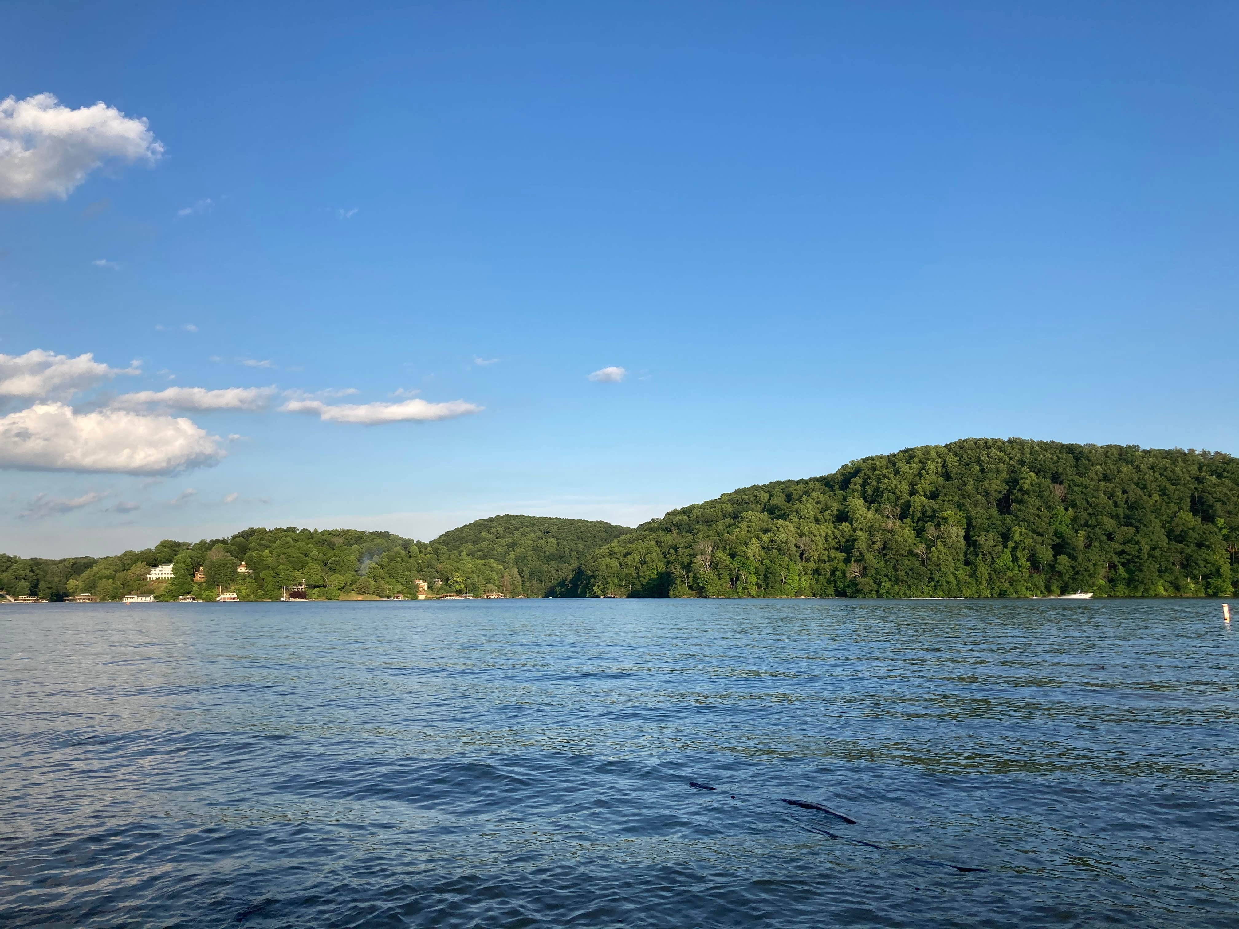View All