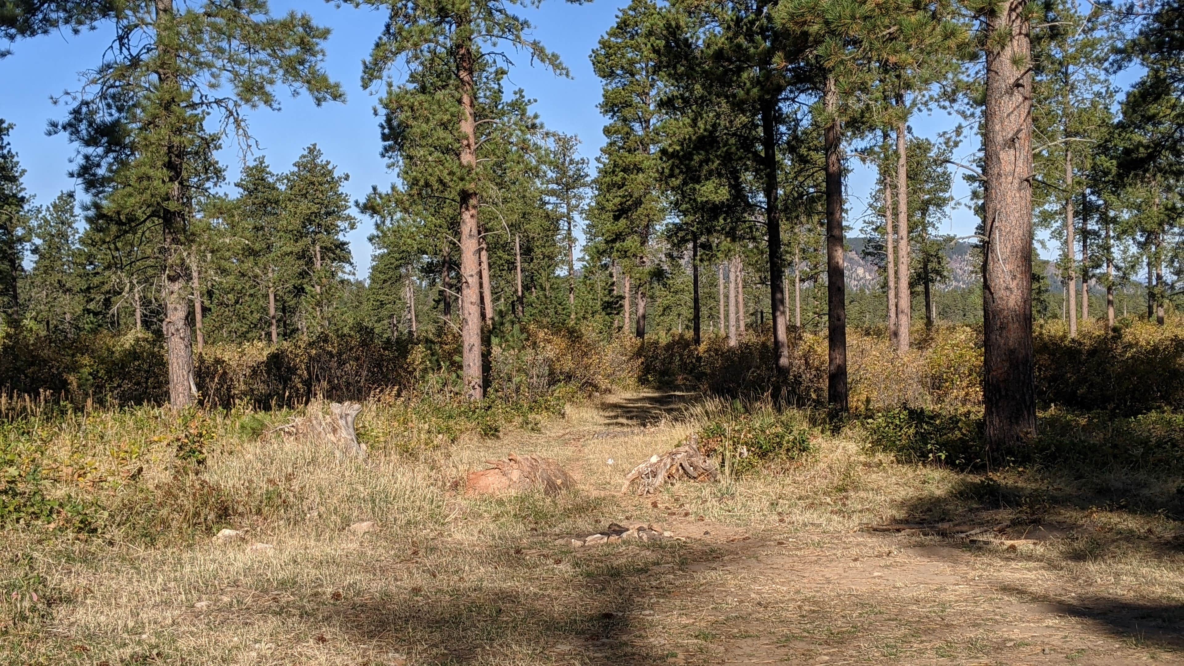 Camper-submitted photo at Free dry camping near Belle Fourche, SD